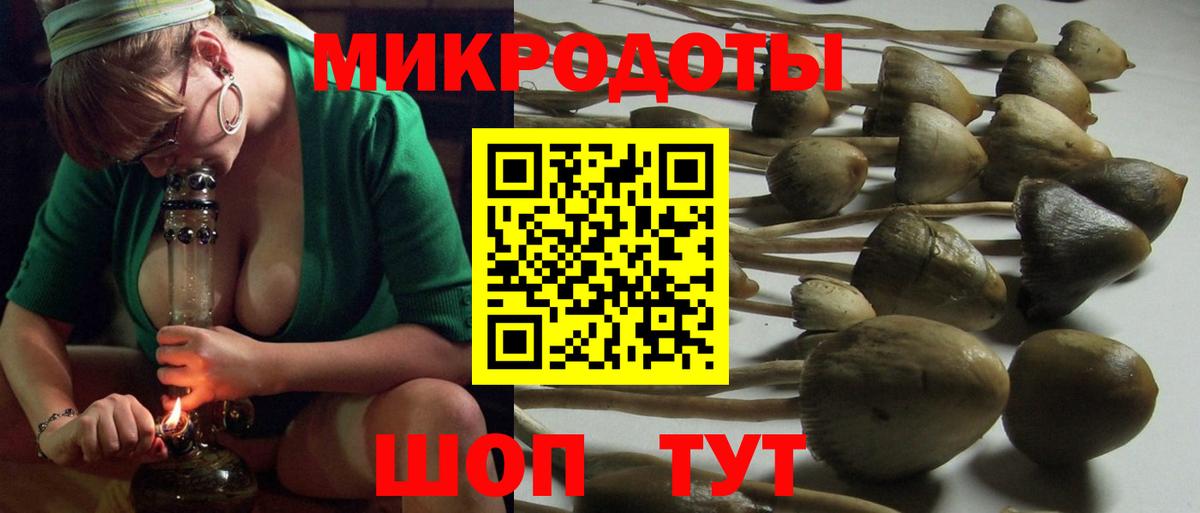 Псилоцибиновые грибы Psilocybe  Галлюциногенные грибы Psilocybine cubensis  Армавир  Вход с VPN 